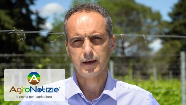 Prev Am: Innovazione e Etichetta nel Settore