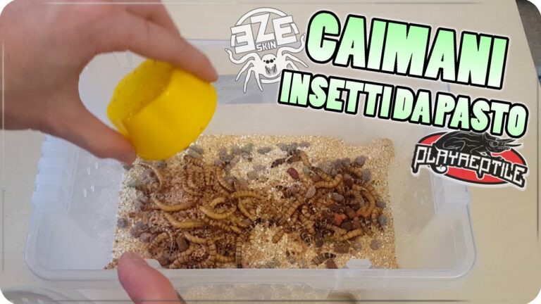 Caiman Vermi: Scoprire il Loro Mondo Affascinante