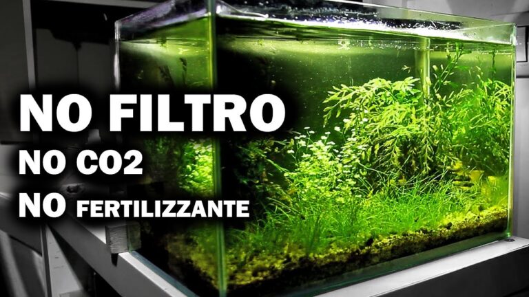 Acquario Autosufficiente: Guida alla Sostenibilità Acquatica