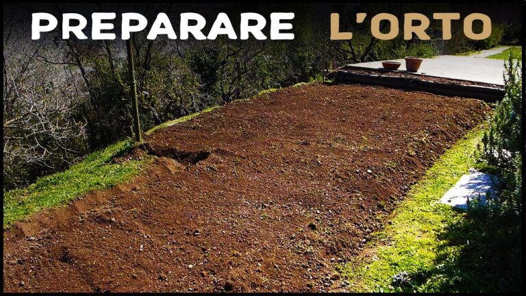 Preparare il Terreno per un Orto Produttivo