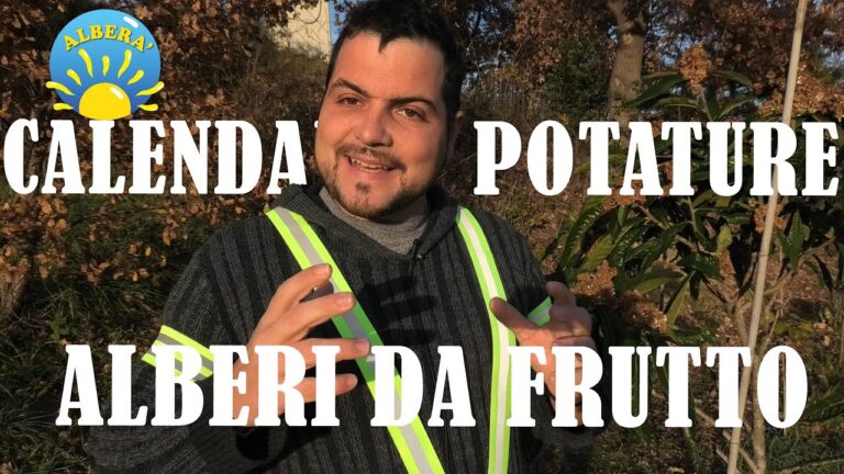 Guida Essenziale al Calendario di Potatura delle Piante