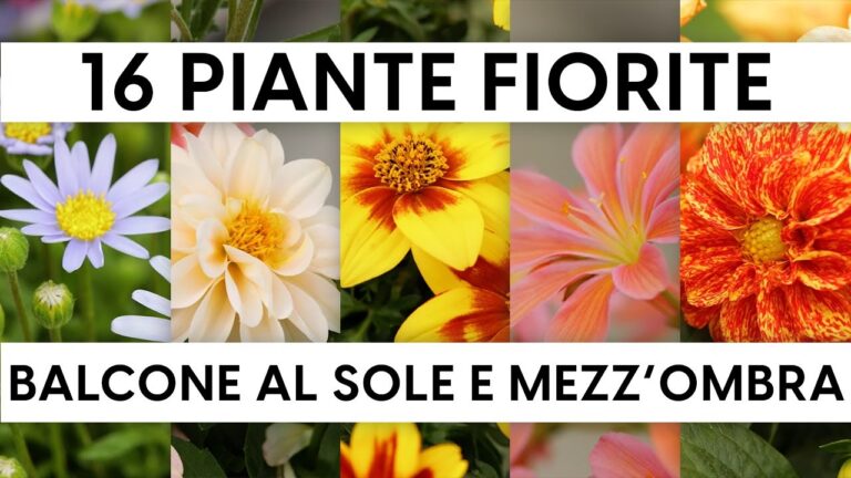 Fiori Azzurri Perenni: Guida alla Scelta e Cura