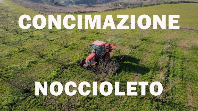 Guida all’uso del concime per nocciole