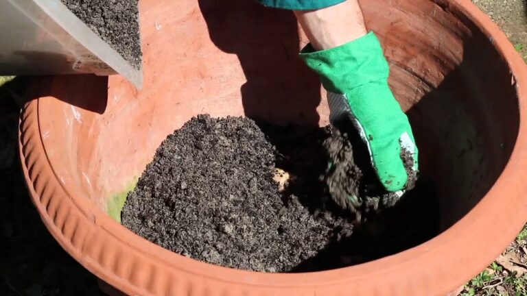Coltivare Zenzero Fiore in Vaso: Guida Pratica