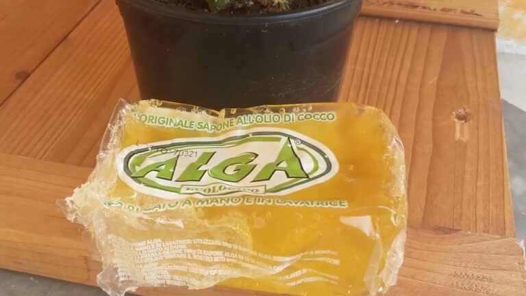 Dosi Ottimali di Sapone Molle Potassico