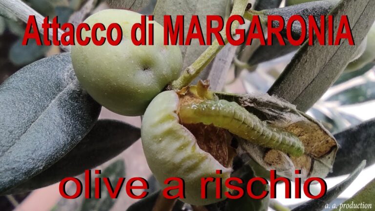 Deltametrina: Analisi dei Prezzi e Vantaggi Utilizzo
