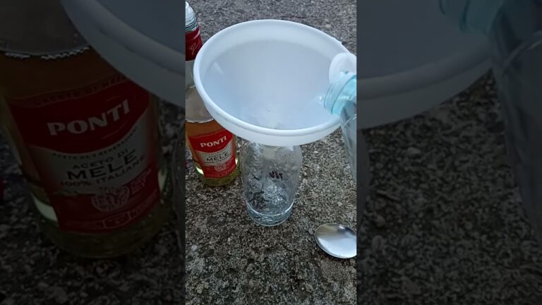 Chiodi di Garofano: Un Insetticida Naturale Efficace