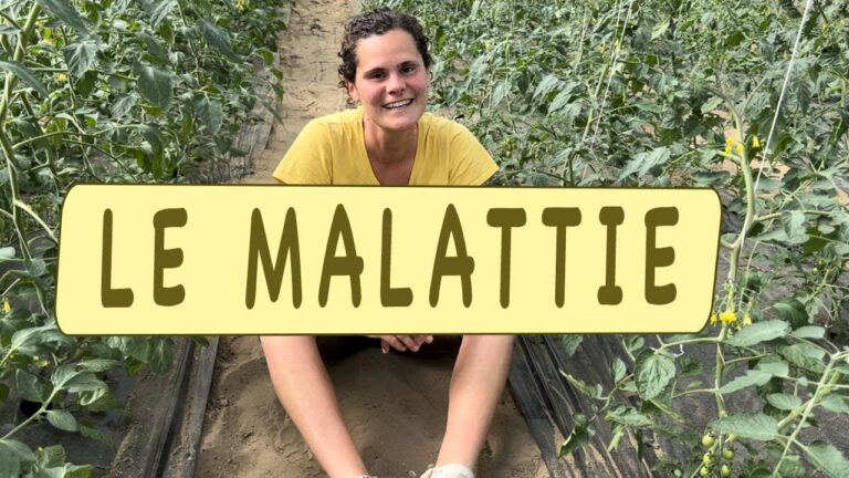 Malattie delle Piante di Pomodoro: Prevenzione e Cura