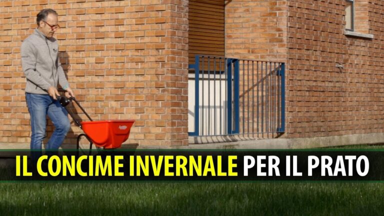 Guida alla Concimazione del Prato in Autunno
