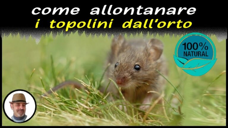 Calciocianamide: Soluzione Efficace contro le Talpe