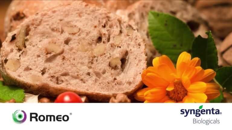 Romeo Syngenta: Innovazione e Sostenibilit&agrave; nel Settore Agricolo