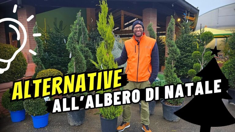 Cipressi a Spirale: Eleganza e Design nel Giardino