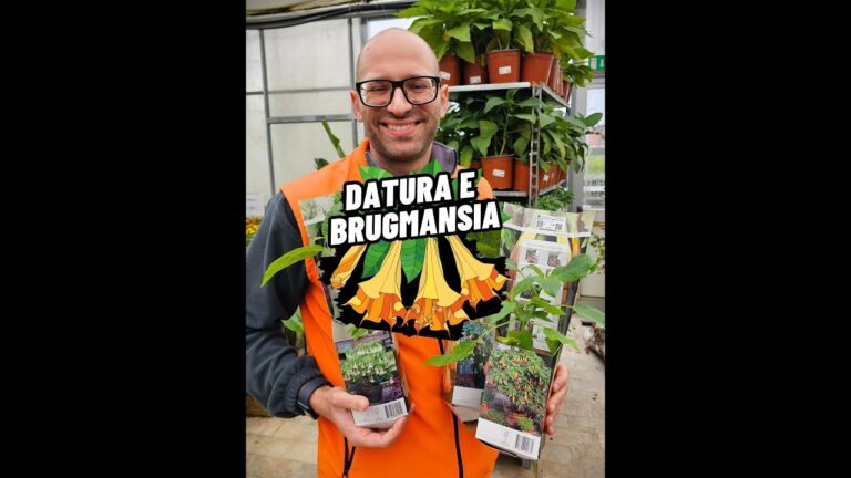 Fiori e Trombe degli Angeli: Un Armonioso Incontro di Bellezza e Simbolismo