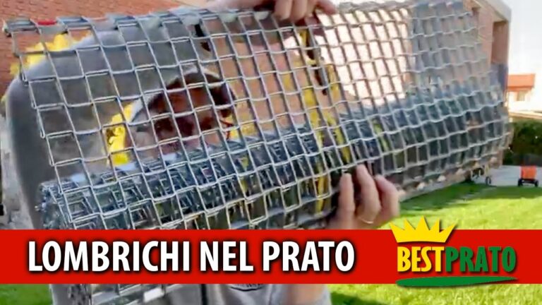 Soluzioni Efficaci per Eliminare i Lombrichi dai Tuoi Spazi