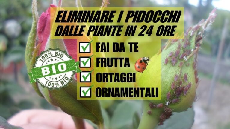 Terra di Diatomee: Controindicazioni e Precauzioni da Conoscere