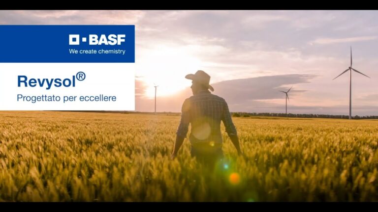 Vivando Etichetta: Innovazione e Sostenibilità nel Packaging Alimentare