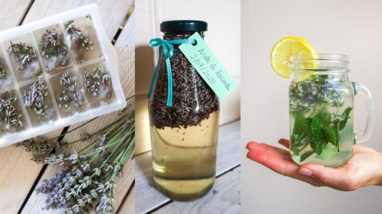 Idee Creative per Utilizzare la Lavanda Raccolta
