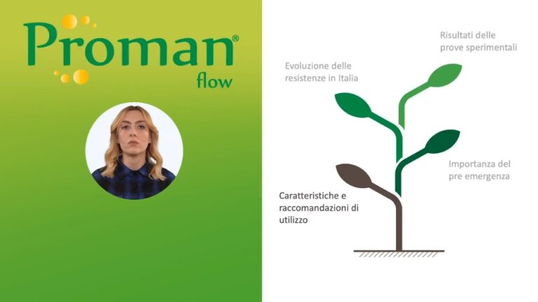Clomazone: Guida all’Etichetta e all’Uso Sicuro