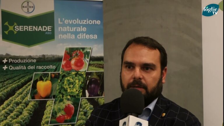 Scoprire Serenade: L’Etichetta che Rende Unica la Tua Musica
