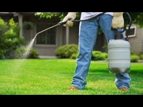 Roundup Platinum: Prezzi e Vantaggi dell’Herbicida Efficace