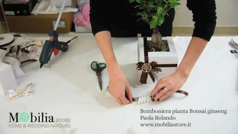 Prezzi delle Bomboniere Bonsai per il Matrimonio