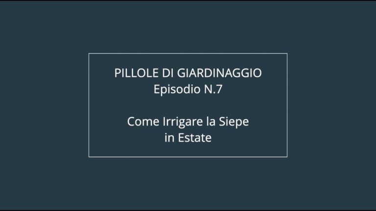 Irrigazione Efficiente per Siepi Sane