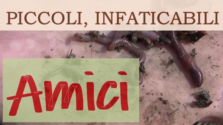 I Lombrichi: Benefici e Danni per le Piante