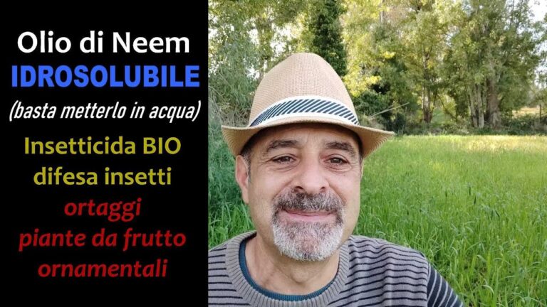 Olio di Neem: Benefici e Usi per le Piante
