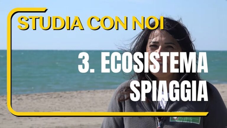 Piante Adattate alla Sabbiatura: Crescita e Resilienza