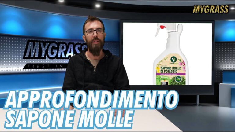 Utilizzo Efficace del Sapone Molle Potassico