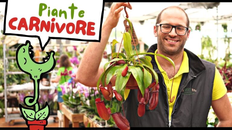 Scopri le Piante Carnivore: Nomi e Curiosità