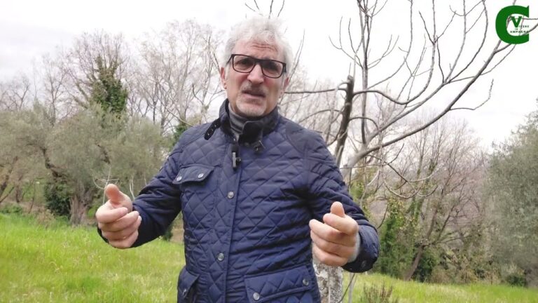 Guida alla Cura della Rogna del Fico