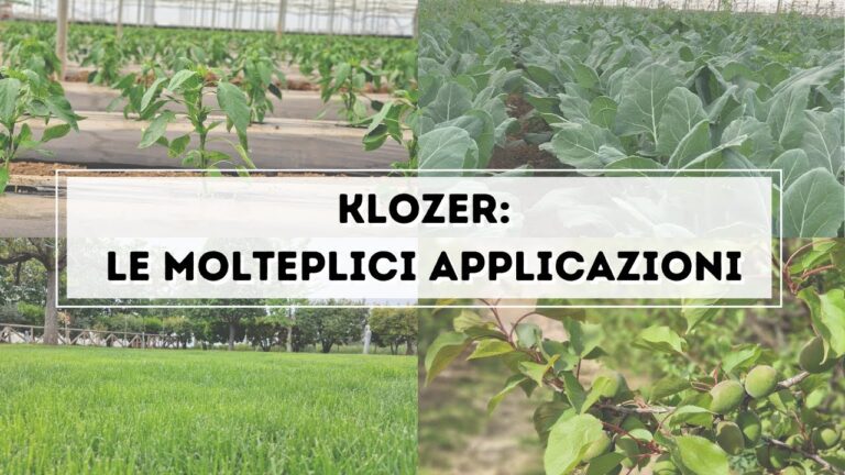 Klozer G20: Innovazione e Prestazioni nel Settore Tecnologico
