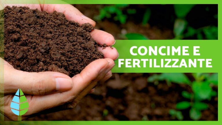 Differenza tra Concime e Fertilizzante: Guida Essenziale