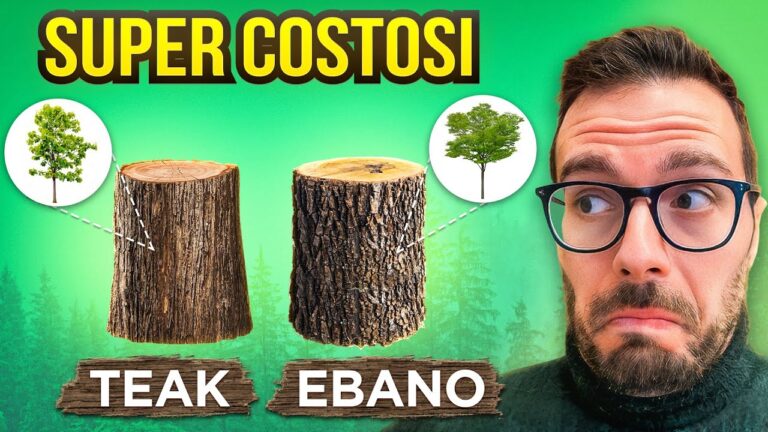 Alberi da Legno: Le Specie Più Redditizie per Investimenti Sostenibili