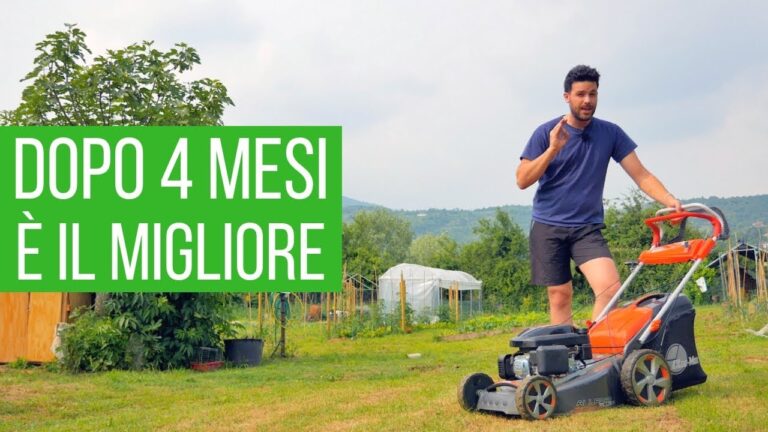 Tagliaerba a Scoppio: L’Ideale per Grandi Superfici