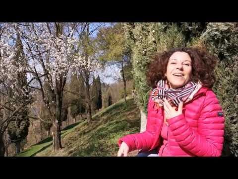 Quando Fiorisce il Pesco: Guida alla Fioritura e Cura della Pianta