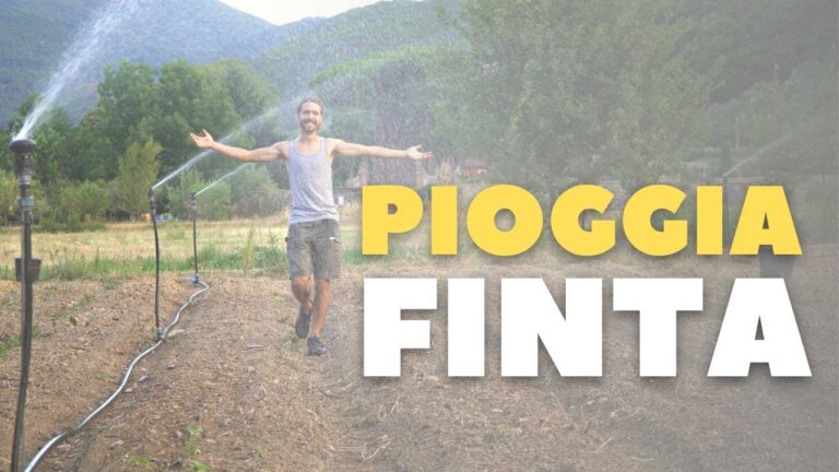 Guida agli Irrigatori a Pioggia Professionali: Scelte e Vantaggi
