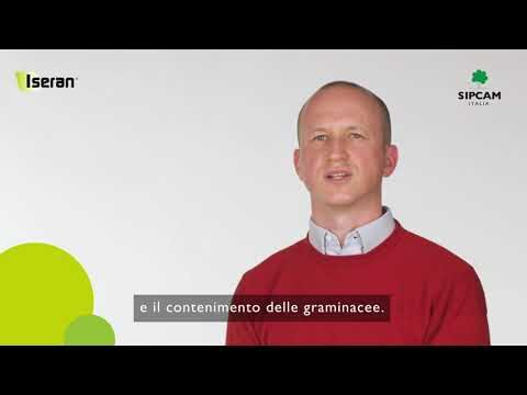 Tecniche Efficaci per il Diserbo delle Graminacee