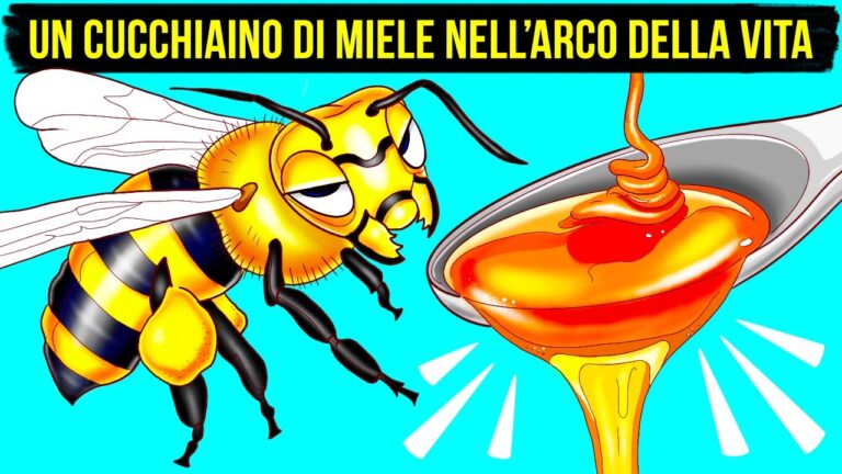 Insetto con Zampe Lunghe e Ali: Un’Osservazione Affascinante della Natura