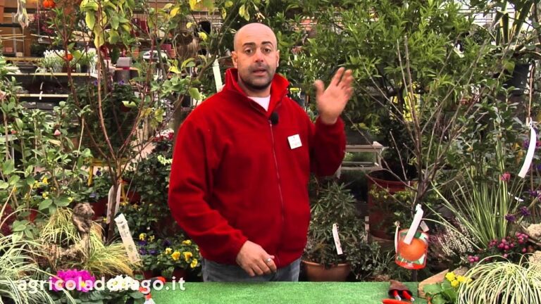 Drupacee: Scopri le Varietà e le Loro Caratteristiche