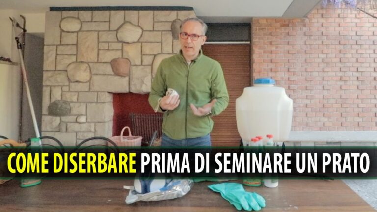 Guida all’uso del diserbante: quando applicarlo correttamente