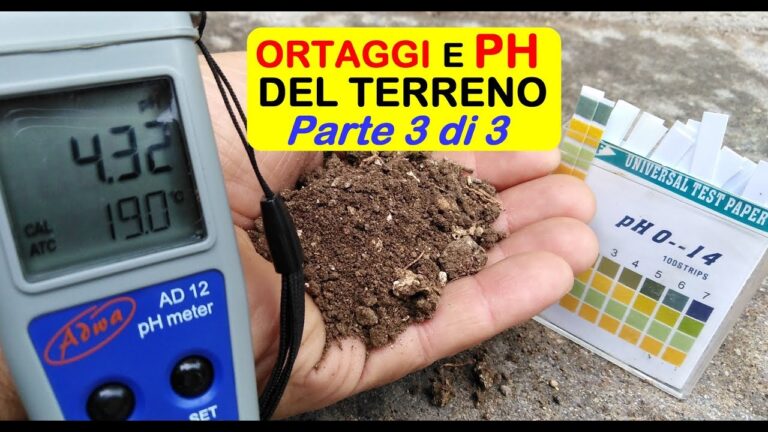 Ottimizzazione del Terreno per la Coltivazione di Pomodori