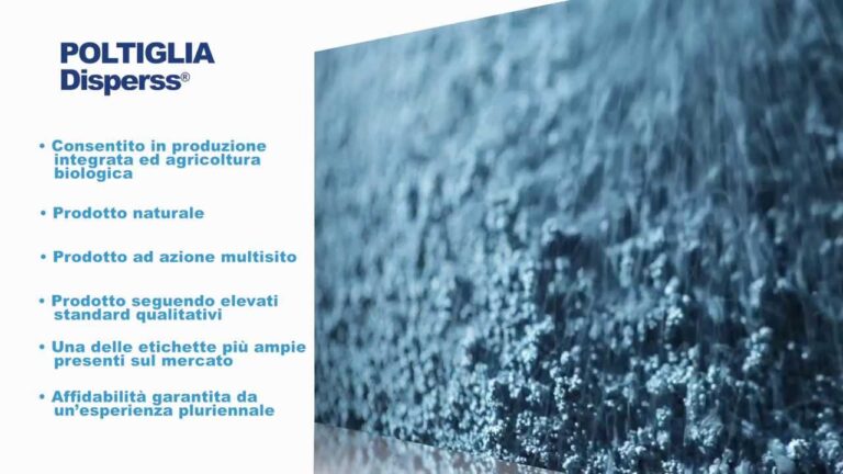 Poltiglia Dispersa: Importanza dell’Etichetta