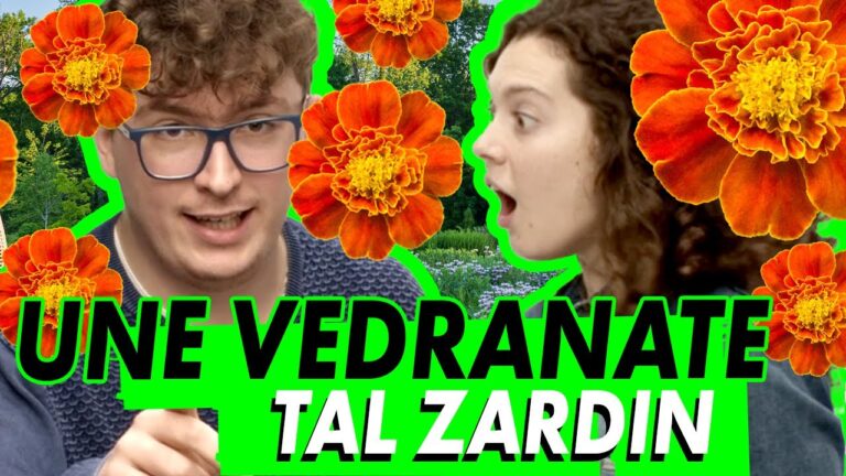 Nomi di Fiori Arancioni: Bellezza e Significato