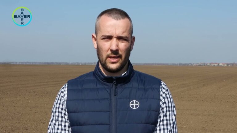 Adengo Etichetta: Innovazione e Sostenibilità nel Settore Agricolo