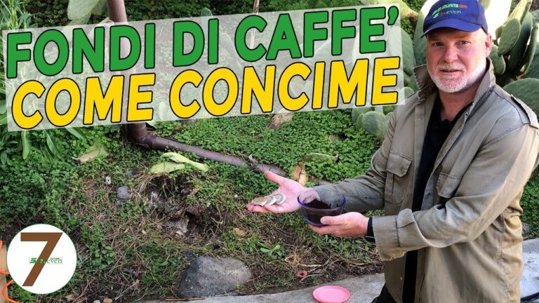 Fondo del Caffè: Un Concime Naturale per il Giardino