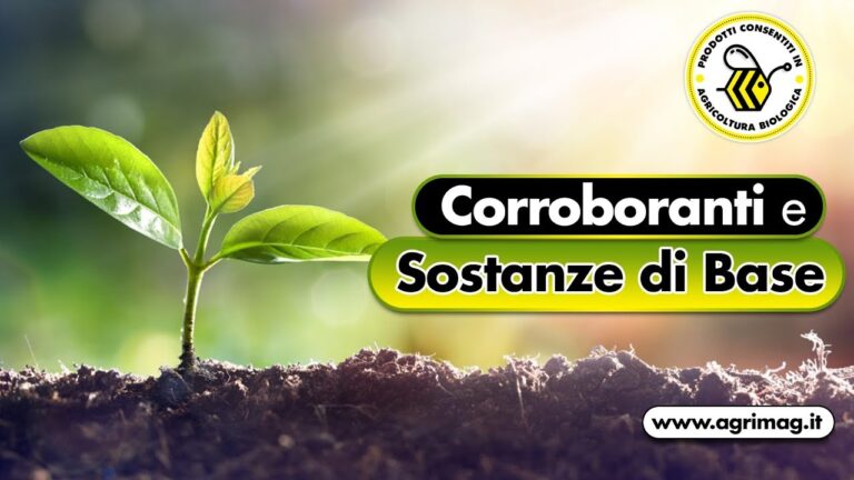 Il Ruolo del Corroborante in Agricoltura: Vantaggi e Applicazioni