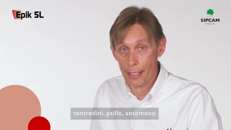 Etichetta di Epik Insetticida: Guida Completa e Sicurezza d’Uso