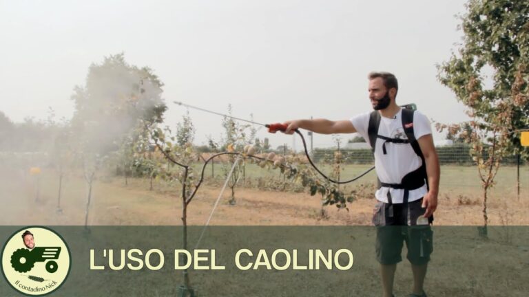 ALGOFLASH NATURASOL - Concime Liquido Per Gerani E Piante Da Fiore - 1